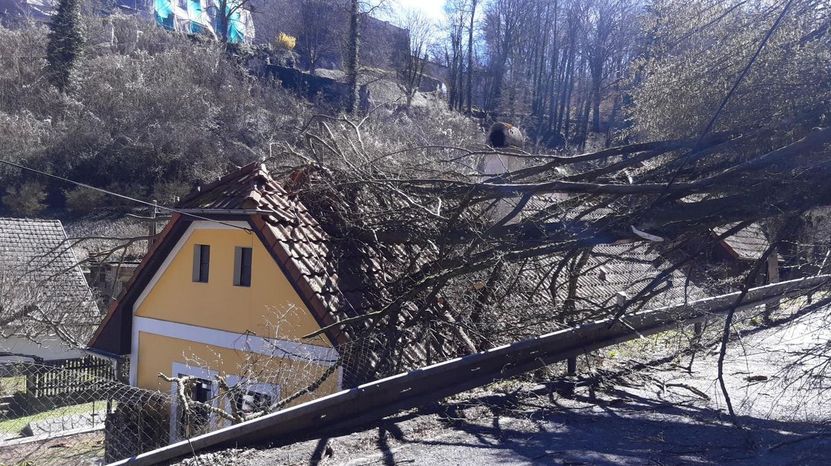 Strom se zřítil na střechu domu